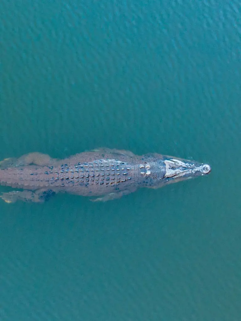 Mietwagenrundreise Nordaustralien – Kakadu, Katherine & Adelaide River